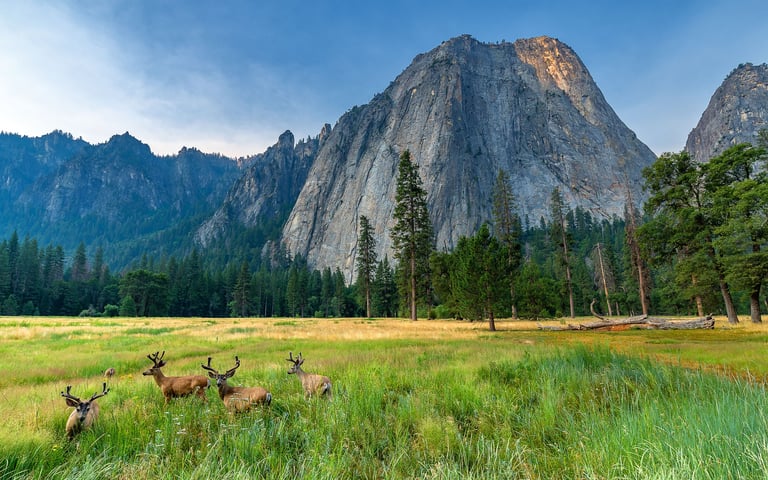 National park landscape