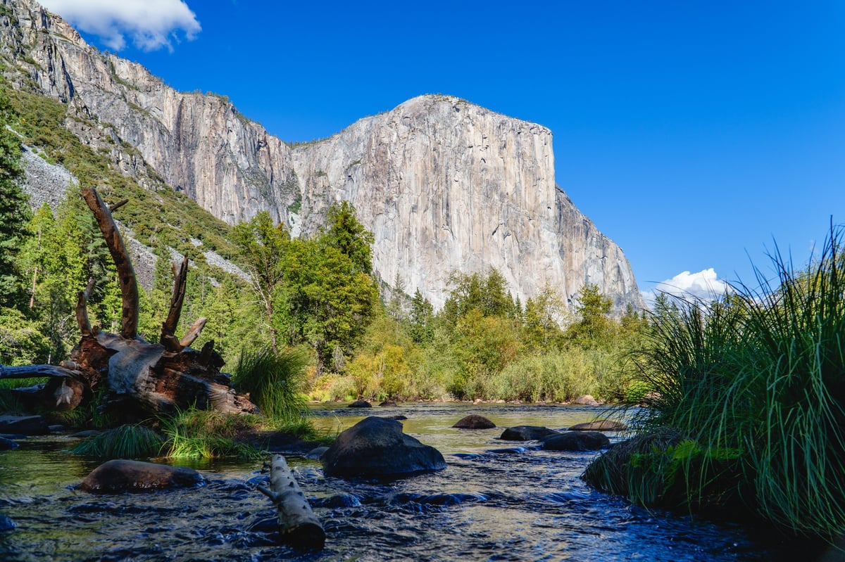 A wide view captures El Capitan towering over the Merced River, with a large fallen log and lush banks in Yosemite Valley.